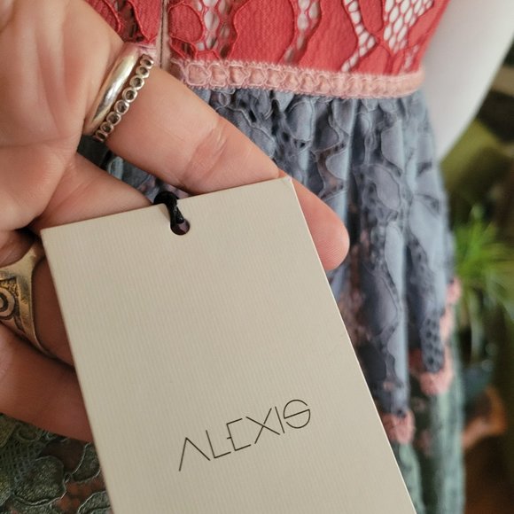 ALEXIS Vedette Colorblock A-Line Dress - Picture 7 of 8